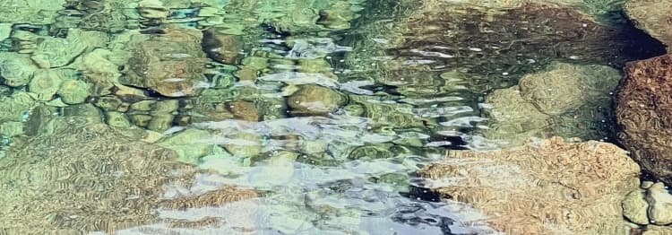 Contaminación del agua en cuencas hidrográficas que desembocan en el océano