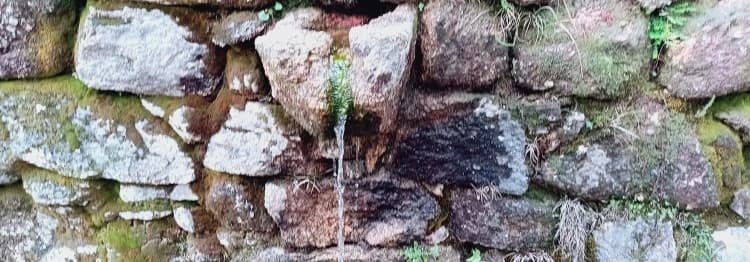 Impacto de fosfatos y nitratos en la biodiversidad de los ecosistemas acuáticos