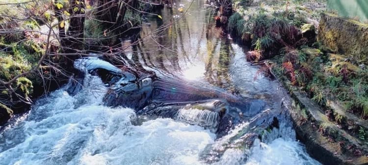 Sedimentación de metales pesados y pesticidas en fondos acuáticos