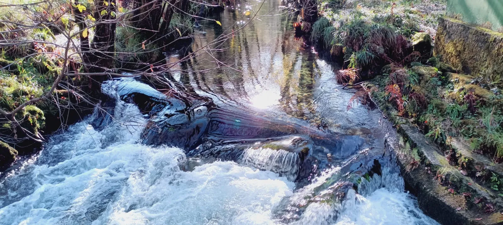 Análisis de Código