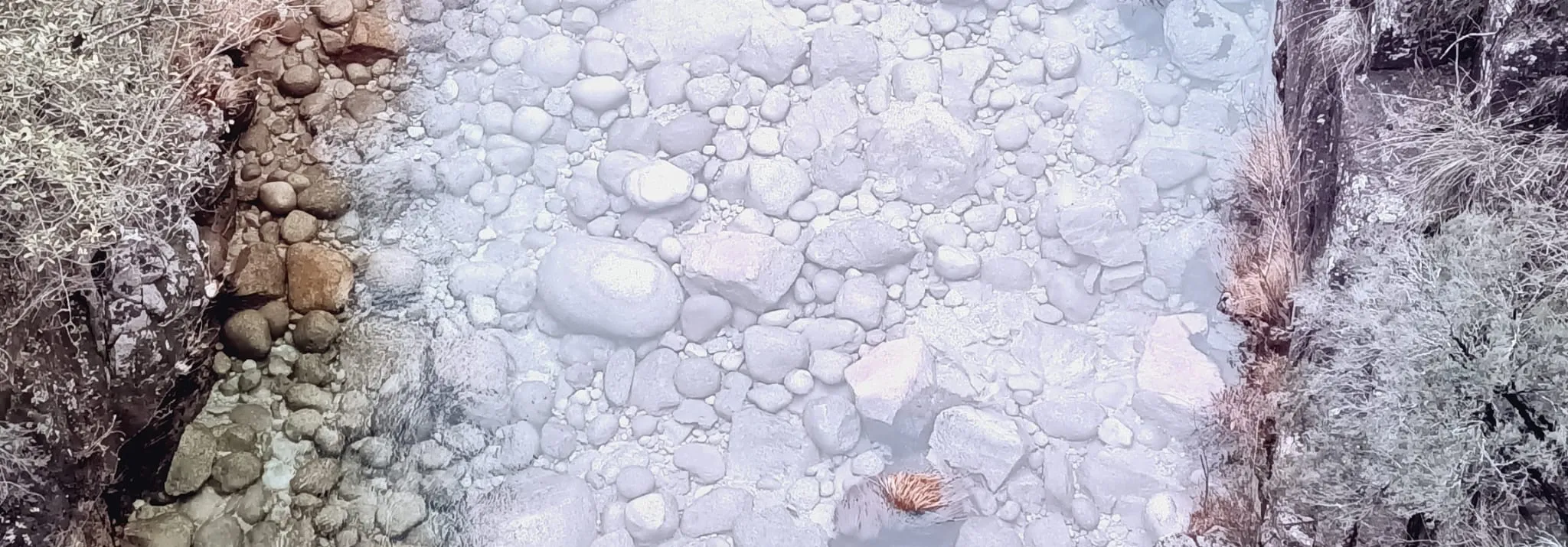 Análisis de Código